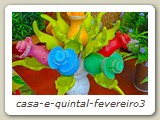 casa-e-quintal-fevereiro3