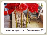 casa-e-quintal-fevereiro30