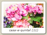 casa-e-quintal (11)