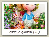 casa-e-quintal (12)