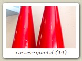 casa-e-quintal (14)