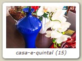casa-e-quintal (15)