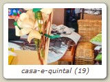casa-e-quintal (19)