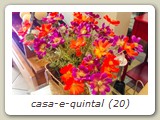 casa-e-quintal (20)