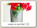 casa-e-quintal (3)