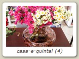 casa-e-quintal (4)